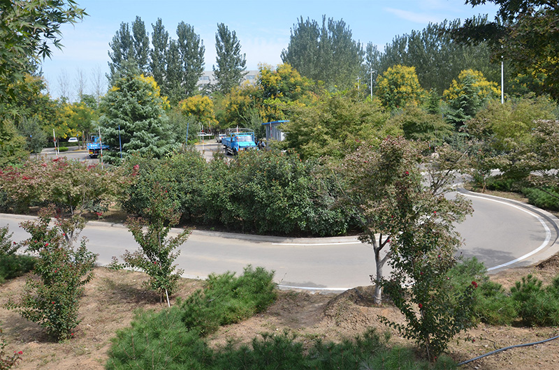 3499拉斯维加斯·(中国游)官方网站入口