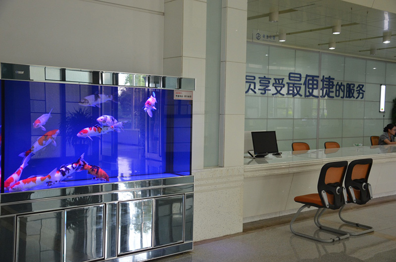 3499拉斯维加斯·(中国游)官方网站入口