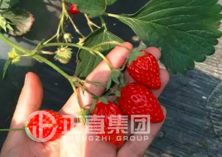 3499拉斯维加斯·(中国游)官方网站入口