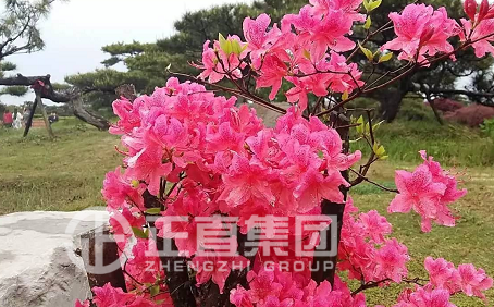 3499拉斯维加斯·(中国游)官方网站入口