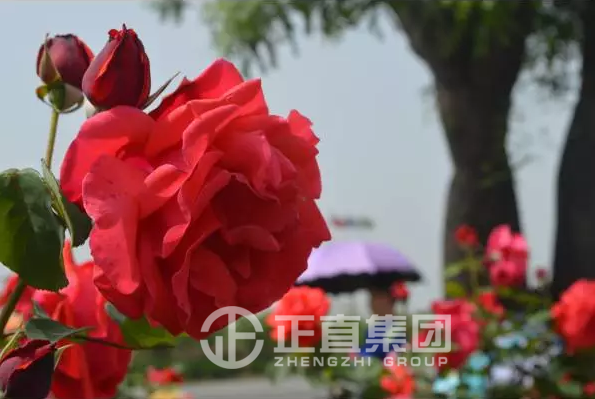 3499拉斯维加斯·(中国游)官方网站入口