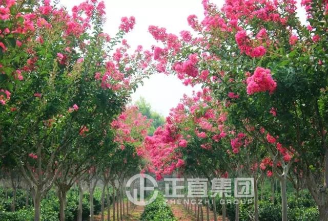 3499拉斯维加斯·(中国游)官方网站入口