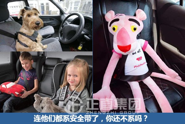 3499拉斯维加斯·(中国游)官方网站入口