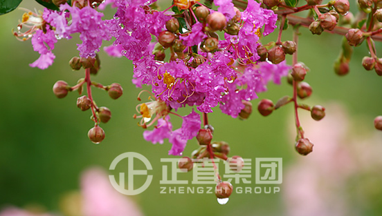 3499拉斯维加斯·(中国游)官方网站入口