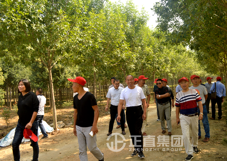 3499拉斯维加斯·(中国游)官方网站入口