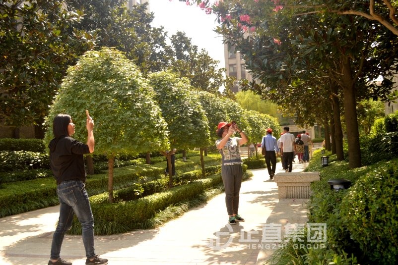 3499拉斯维加斯·(中国游)官方网站入口