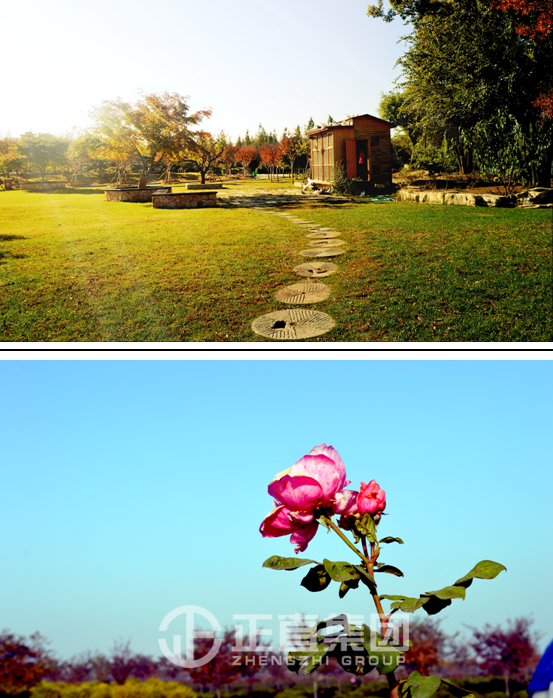 3499拉斯维加斯·(中国游)官方网站入口