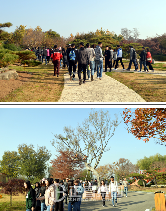 3499拉斯维加斯·(中国游)官方网站入口