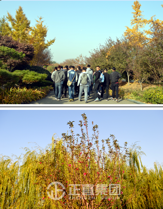 3499拉斯维加斯·(中国游)官方网站入口