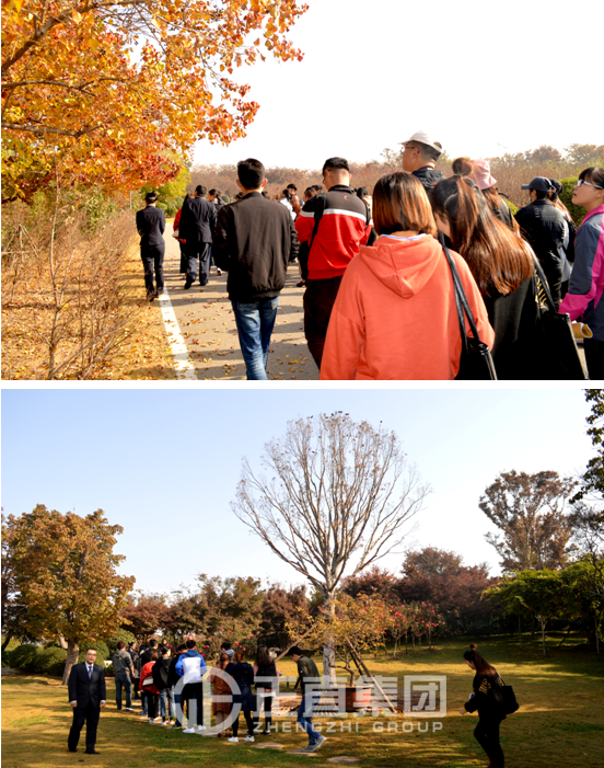 3499拉斯维加斯·(中国游)官方网站入口