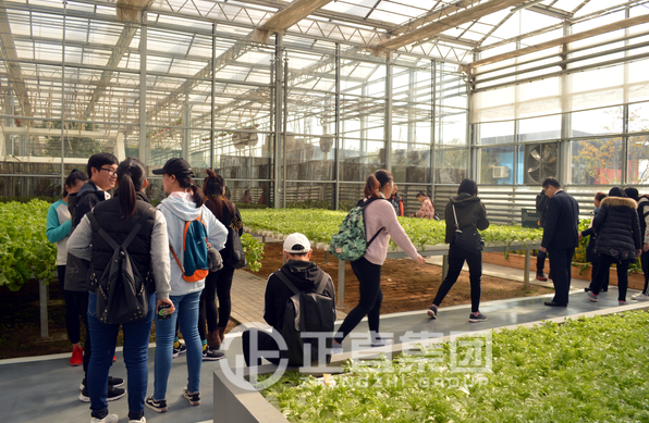 3499拉斯维加斯·(中国游)官方网站入口