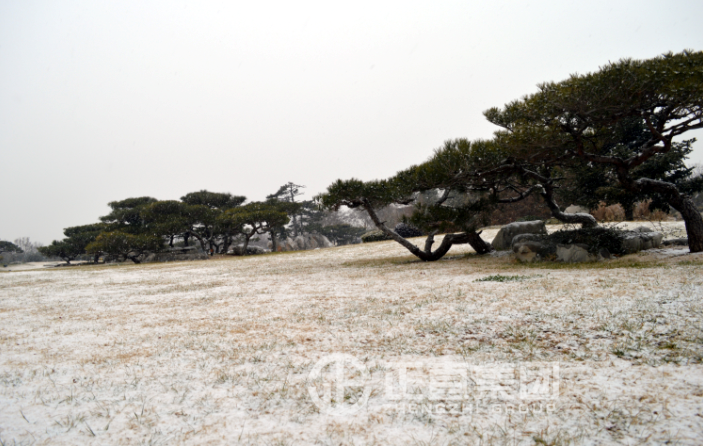 3499拉斯维加斯·(中国游)官方网站入口