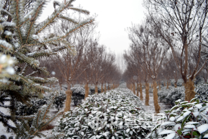 3499拉斯维加斯·(中国游)官方网站入口