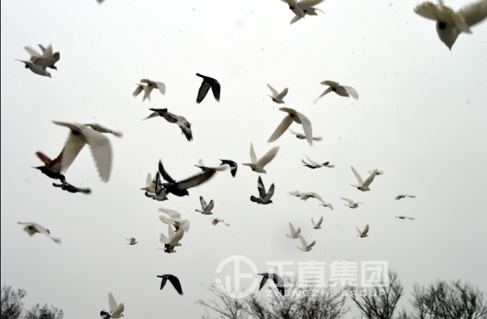 3499拉斯维加斯·(中国游)官方网站入口