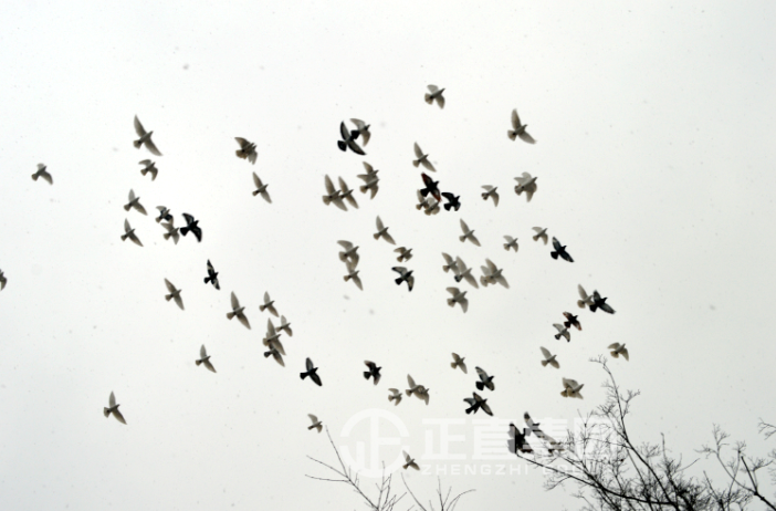 3499拉斯维加斯·(中国游)官方网站入口