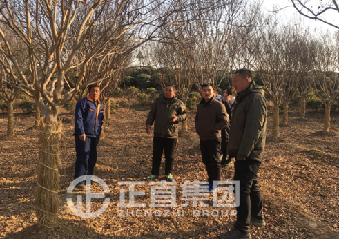 3499拉斯维加斯·(中国游)官方网站入口