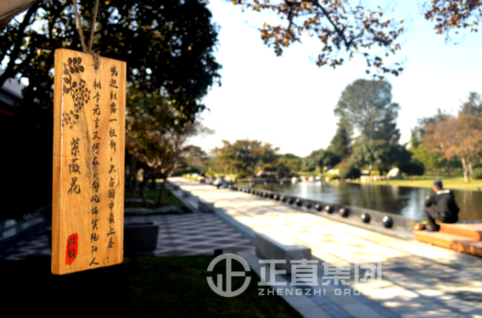 3499拉斯维加斯·(中国游)官方网站入口