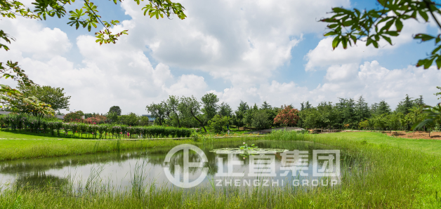 3499拉斯维加斯·(中国游)官方网站入口