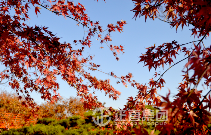 3499拉斯维加斯·(中国游)官方网站入口