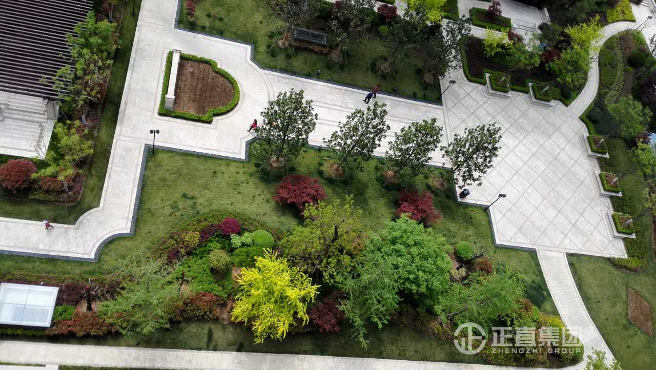 3499拉斯维加斯·(中国游)官方网站入口