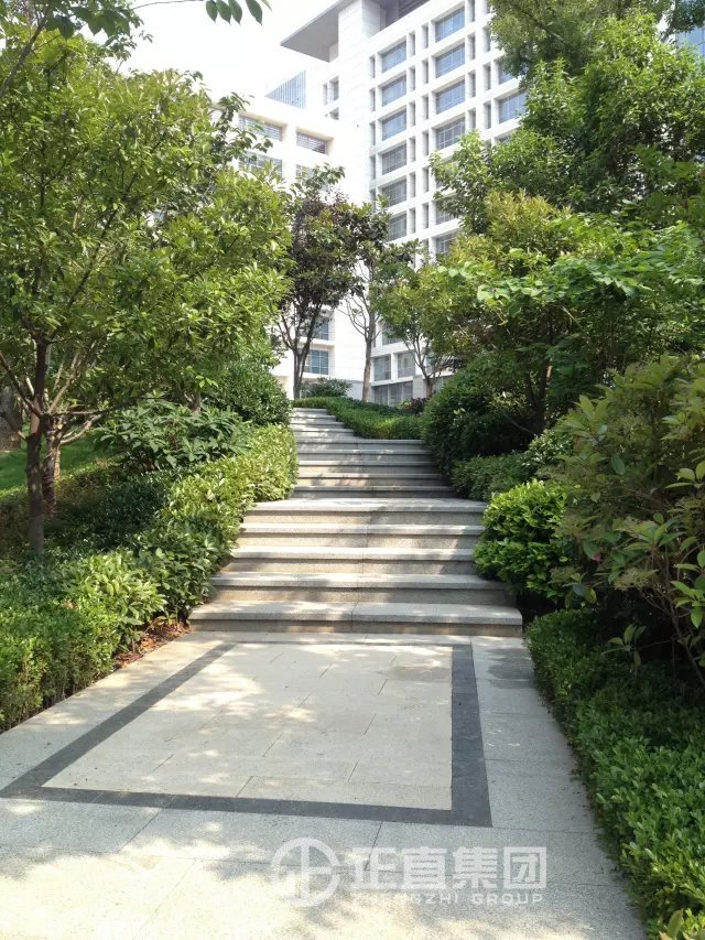 3499拉斯维加斯·(中国游)官方网站入口