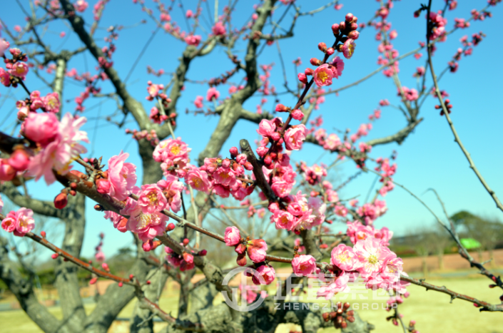 3499拉斯维加斯·(中国游)官方网站入口