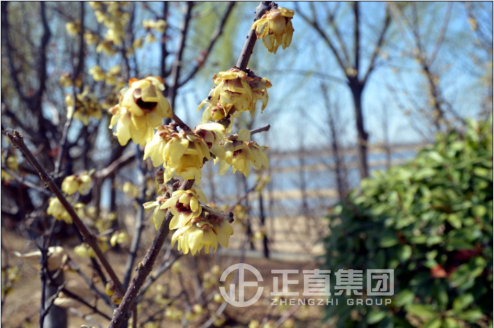 3499拉斯维加斯·(中国游)官方网站入口