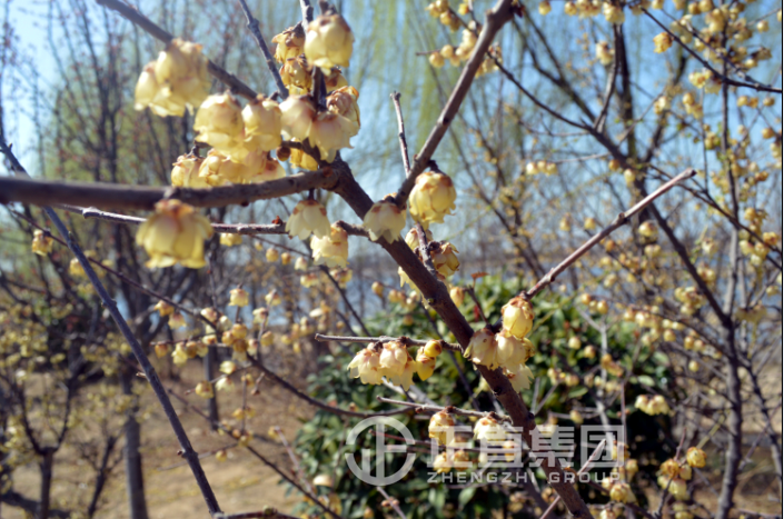 3499拉斯维加斯·(中国游)官方网站入口