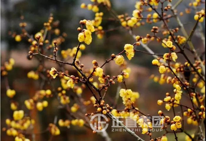 3499拉斯维加斯·(中国游)官方网站入口