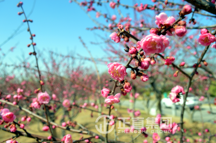 3499拉斯维加斯·(中国游)官方网站入口