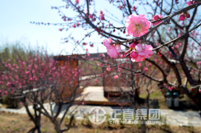 3499拉斯维加斯·(中国游)官方网站入口