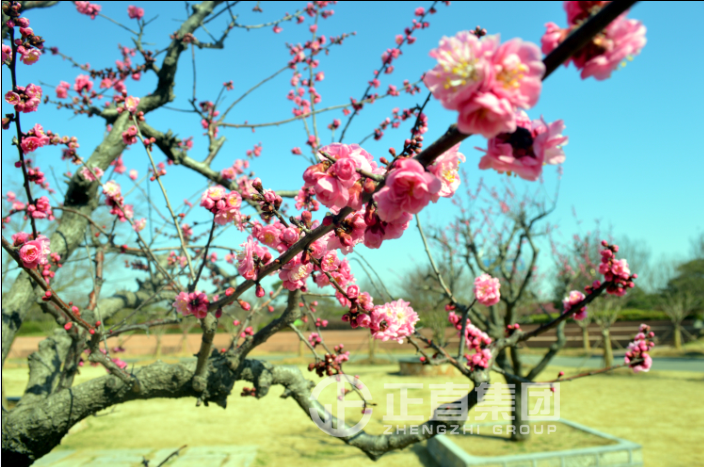 3499拉斯维加斯·(中国游)官方网站入口