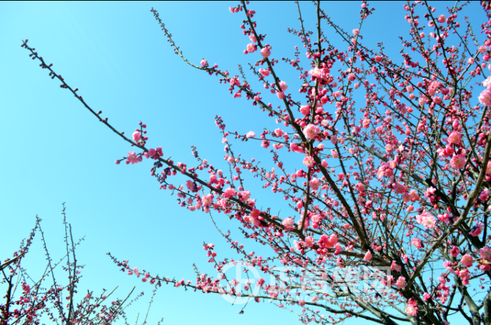 3499拉斯维加斯·(中国游)官方网站入口