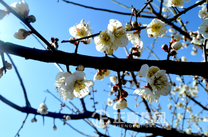 3499拉斯维加斯·(中国游)官方网站入口