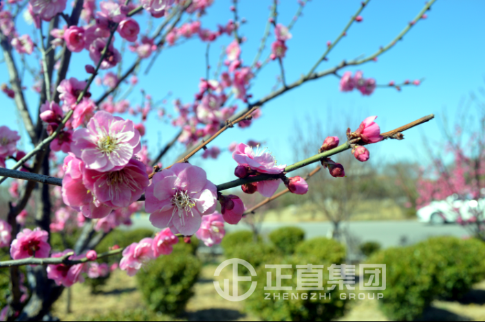 3499拉斯维加斯·(中国游)官方网站入口