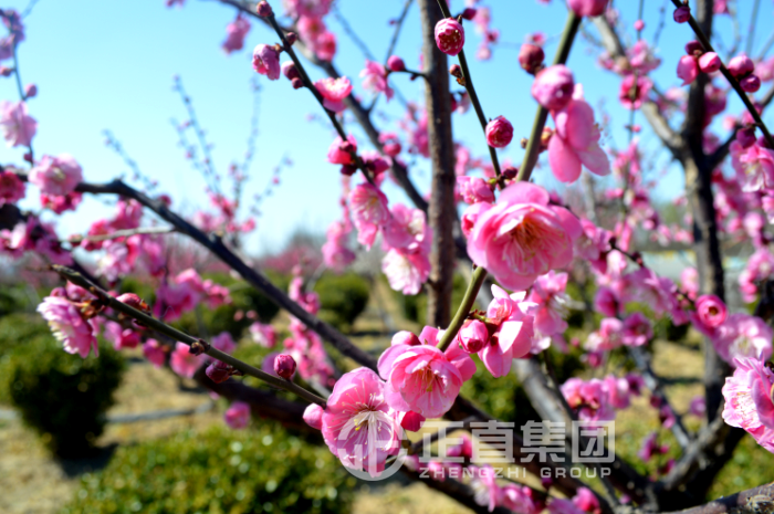 3499拉斯维加斯·(中国游)官方网站入口