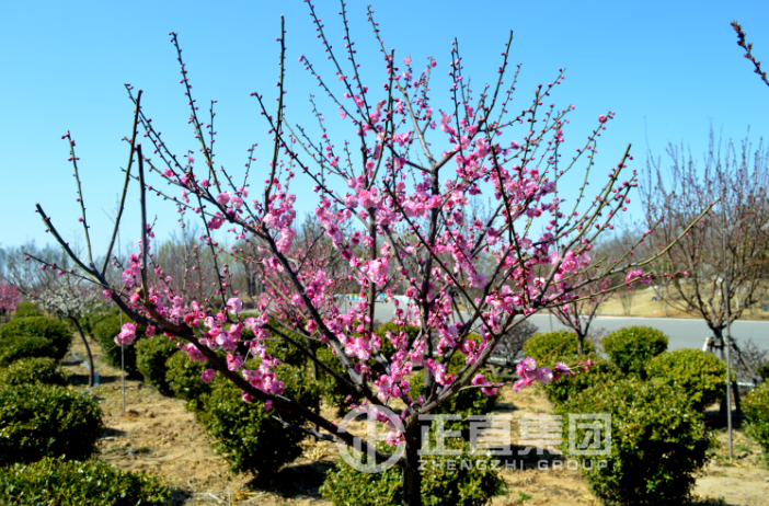 3499拉斯维加斯·(中国游)官方网站入口