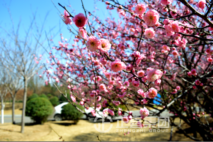 3499拉斯维加斯·(中国游)官方网站入口