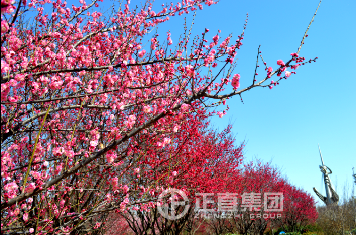 3499拉斯维加斯·(中国游)官方网站入口