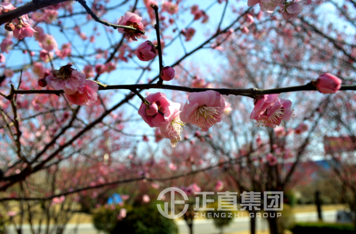 3499拉斯维加斯·(中国游)官方网站入口