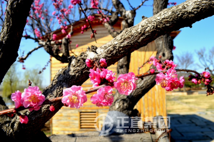 3499拉斯维加斯·(中国游)官方网站入口