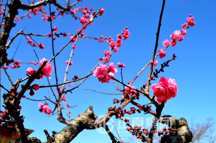 3499拉斯维加斯·(中国游)官方网站入口