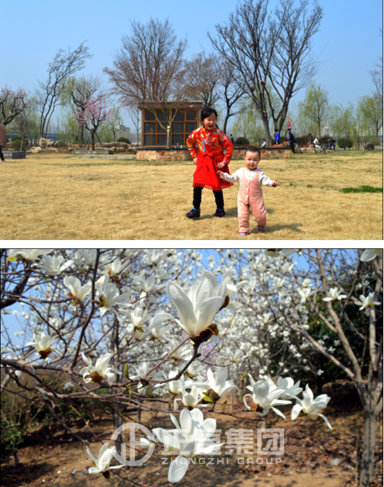 3499拉斯维加斯·(中国游)官方网站入口