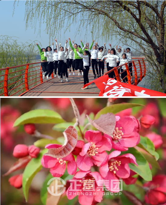 3499拉斯维加斯·(中国游)官方网站入口