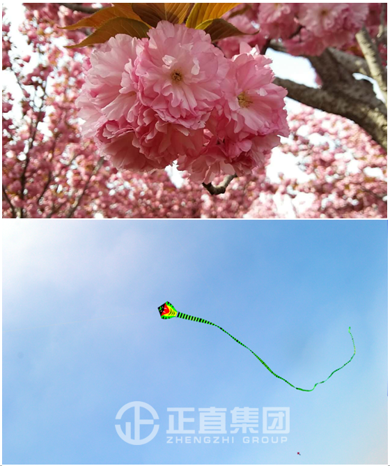 3499拉斯维加斯·(中国游)官方网站入口