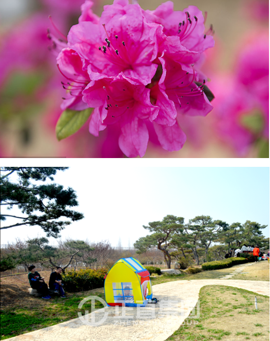 3499拉斯维加斯·(中国游)官方网站入口