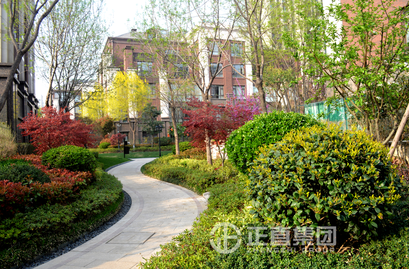 3499拉斯维加斯·(中国游)官方网站入口