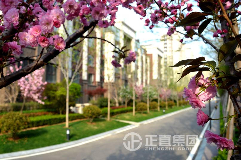 3499拉斯维加斯·(中国游)官方网站入口