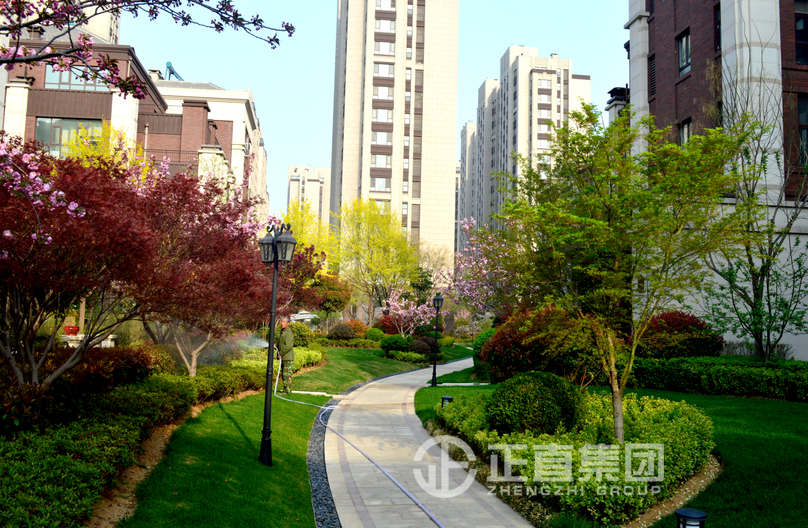 3499拉斯维加斯·(中国游)官方网站入口