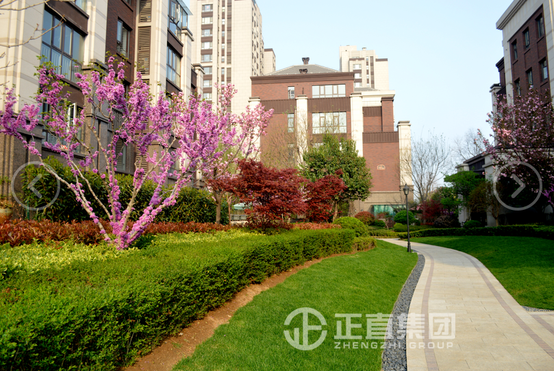 3499拉斯维加斯·(中国游)官方网站入口